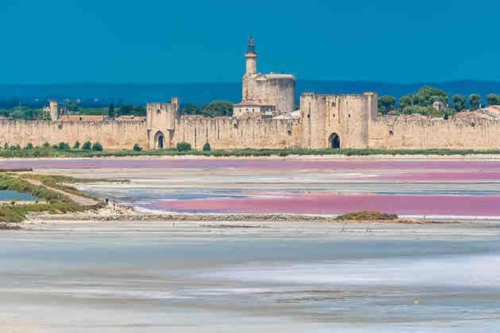 Maison Chaleureuse A 5 Mins Des Remparts Aigues-Mortes Exterior foto